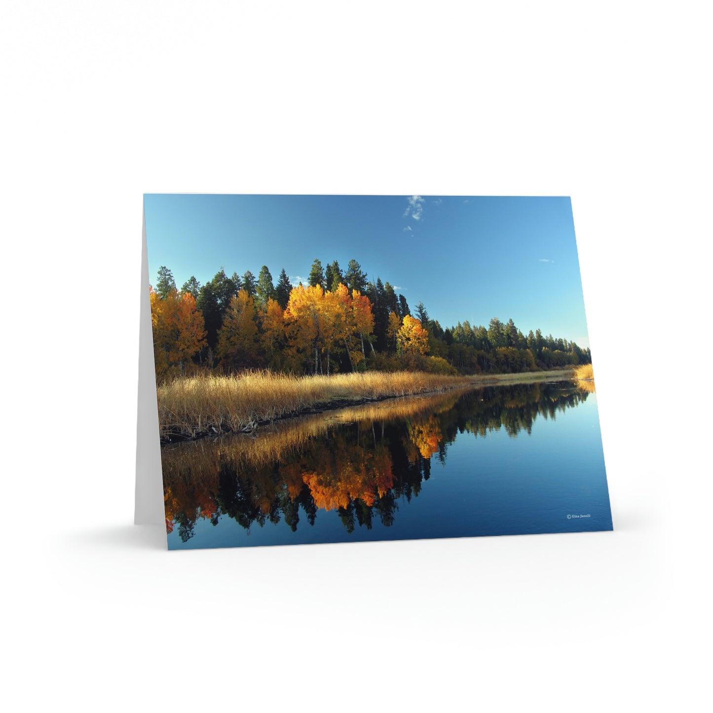 Rocky Point, Klamath Lake, Klamath Falls, Or.      Greeting cards (8, 16, and 24 pcs)