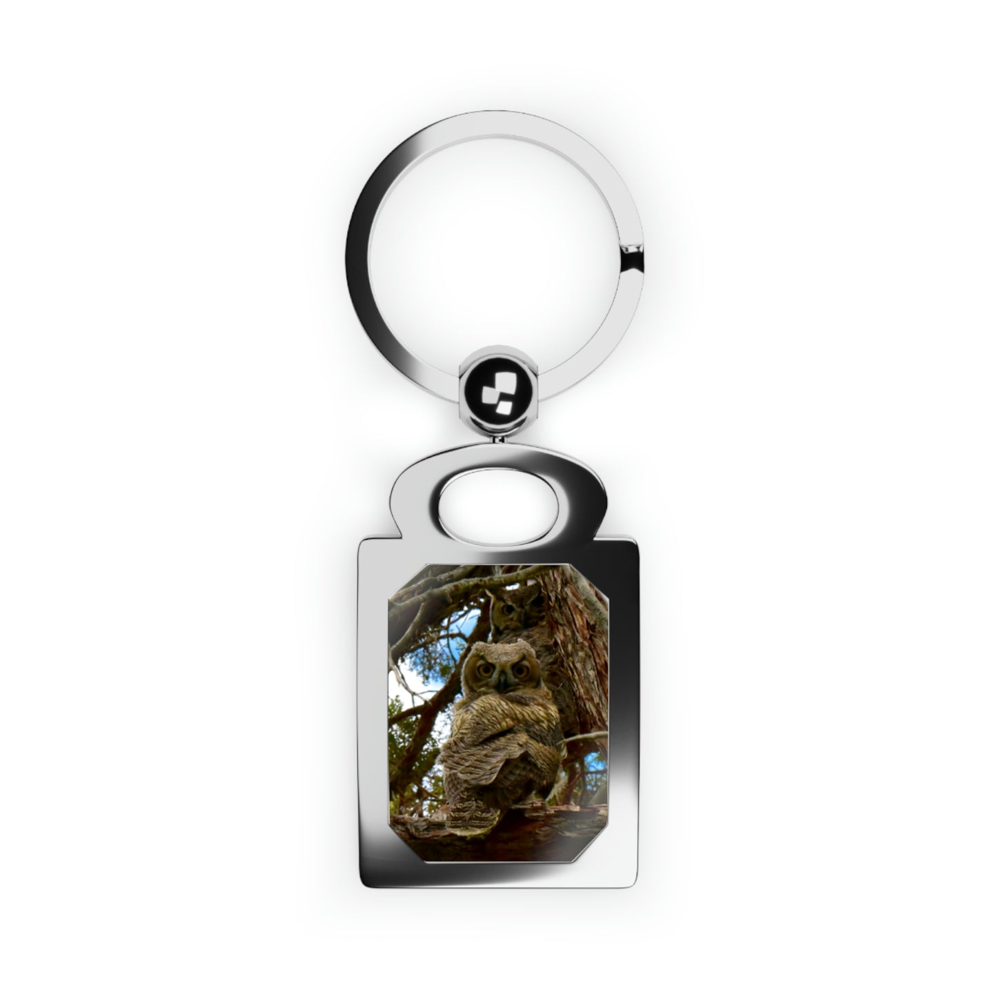 Great Horned Owls                                   Rectangle Photo Keyring