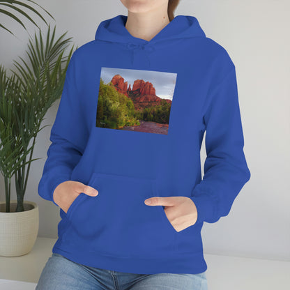 Cathedral Rock & Great Blue Heron, Sedona Az.      Unisex Heavy Blend™ Hooded Sweatshirt