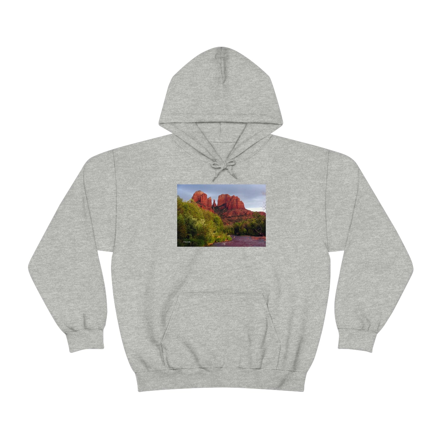 Cathedral Rock & Great Blue Heron, Sedona Az.      Unisex Heavy Blend™ Hooded Sweatshirt