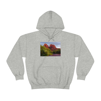 Cathedral Rock & Great Blue Heron, Sedona Az.      Unisex Heavy Blend™ Hooded Sweatshirt