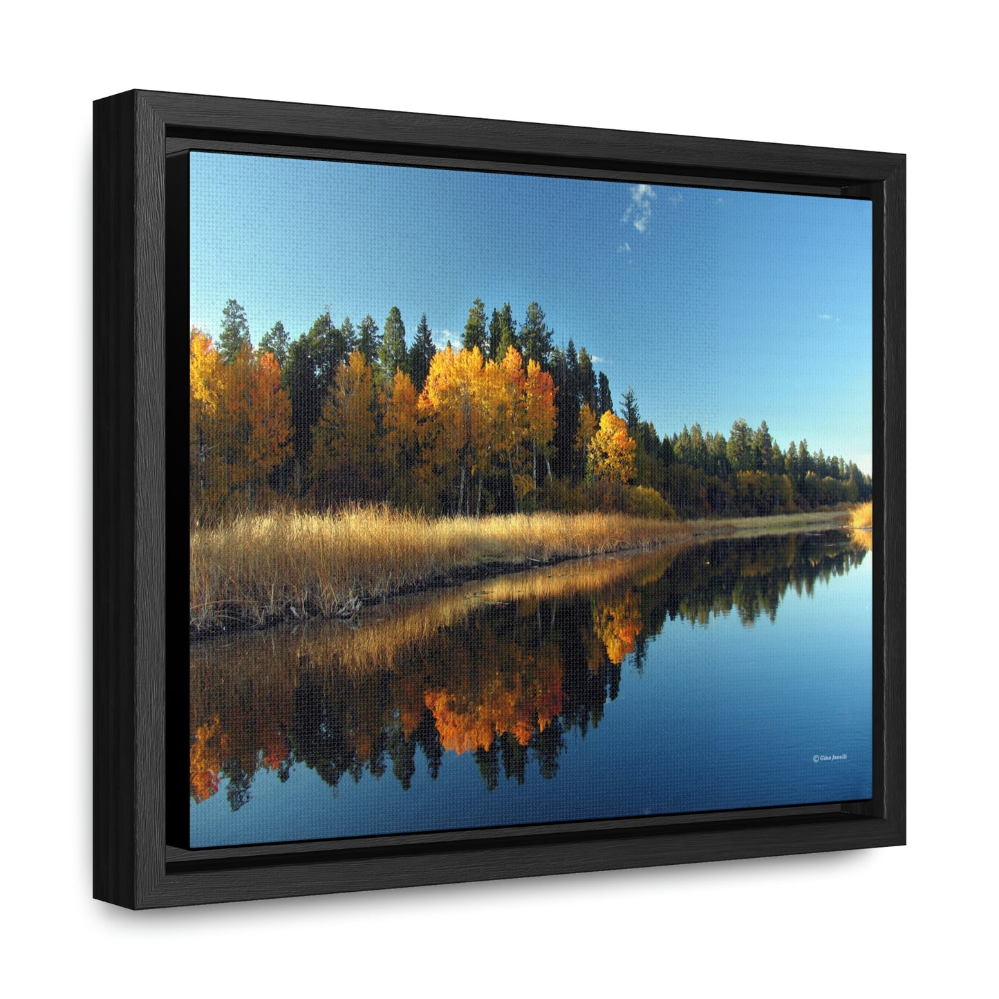 Rocky Point, Klamath Lake, Klamath Falls, Or.    Gallery Canvas Wraps, Horizontal Frame