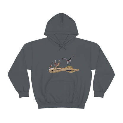 Sandhill Cranes     Unisex Heavy Blend™ Hooded Sweatshirt